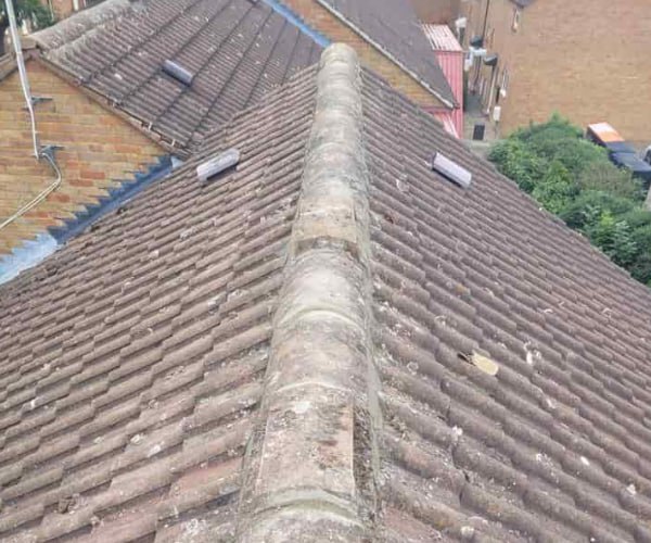 This is a photo of a roof ridge that has just been re-bedded, work carried out by TVB Roofing Wellingborough